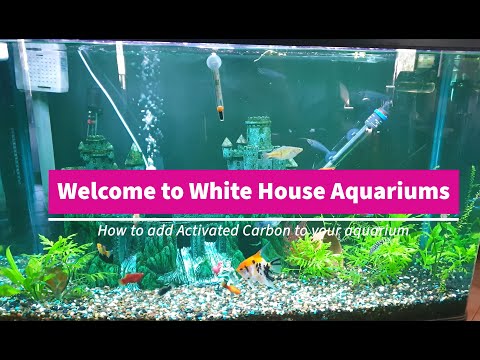How to add activated carbon to your aquarium filter || How to add chemical filtration to your tanks