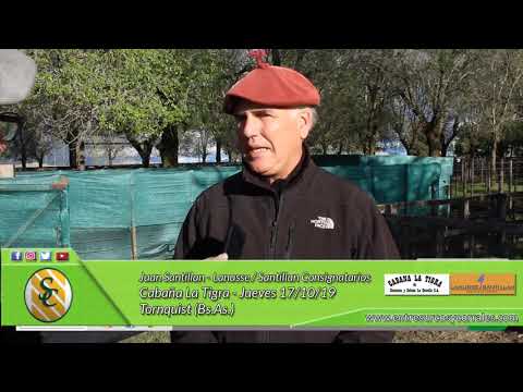 17-10-19 - Juan Santillan - Lanusse/Santillan Consignatarios -  Cabaña La Tigra - Tornquist