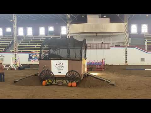 Rick Schroeder AHCA Nationals Limited Amateur Division Nu Model Mercedes