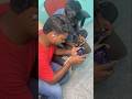 Surprise Gift To My Subcribers EMOTE CRYING MOMENT Shorts Pvs Tamil Surprisegift