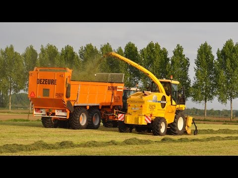 New Holland FX50 - Loonw.  Willem Claeys - gras hakselen