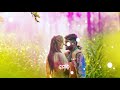 New Odia Holi WhatsApp Status Video 2022