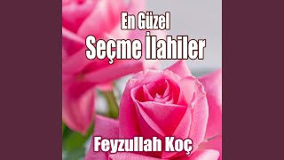 Güneş Yüzlüm