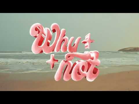 VINCEZ - WHY NOT? feat.  M.Timére (VISUALIZER)
