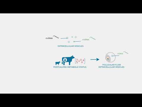 Rep-Biotech  ITN ScienceInMotion Series - ESR 12