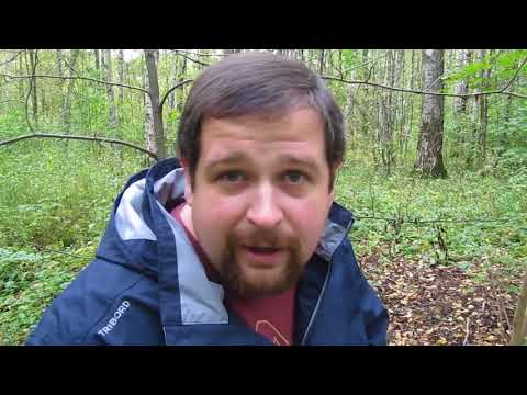 ЖИЗНЬ ПОСЛЕ РАЗВОДА. 10 САМЫХ ЧАСТЫХ ОШИБОК.