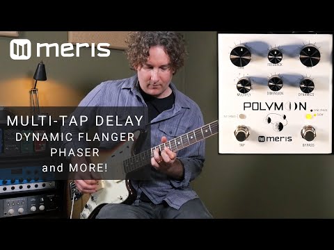 Meris Polymoon - Multi-Tap Modulated Delay (STEREO)