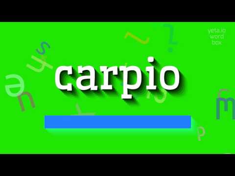 How to say "carpio"! (High Quality Voices)