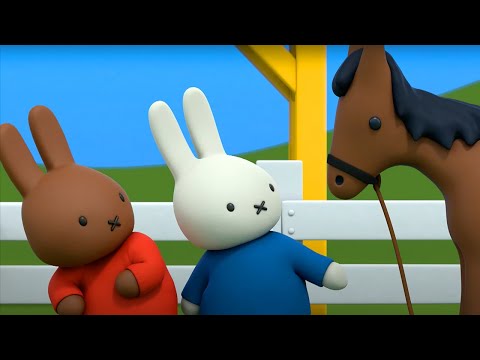 nijntje en het paardje | nijntje's avonturen, groot en klein | gloednieuwe aflevering!