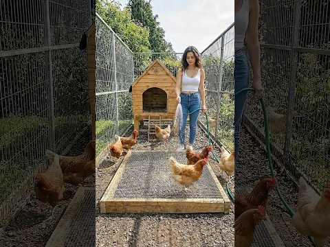 Never run out of fresh grass for your chickens again! 🌿🐔 #diy
