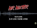 Mr. Mister - Is It Love [Lyrics]