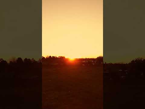 Ojos con alas, atardeceres con magia.☀️🪽 Arroyo Leyes, Santa Fe