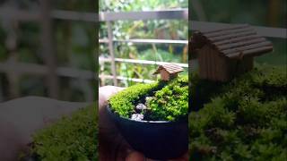 Download lagu Lanskap miniatur ✨️ #diy #seni #miniatur #youtubeshorts #tamanlumut #terrarium mp3