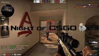 "I'm ALWAYS the Toaster Man!": A Night of CSGO #23