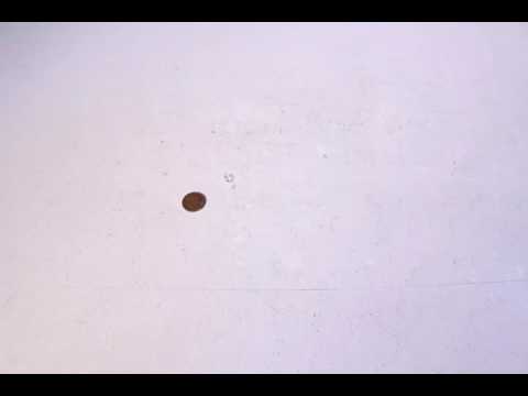 bouncing ball ping pong