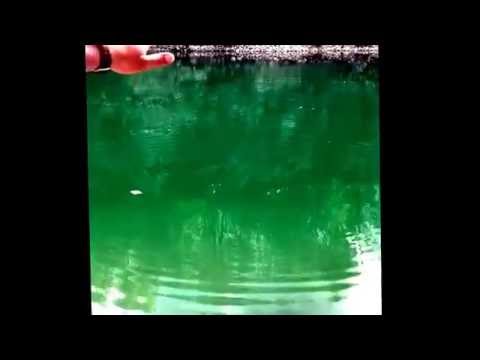 Der Weltmeister im Steine Flitschen