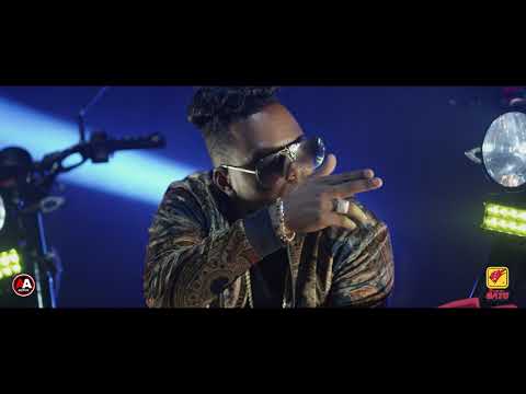 Musicologo el libro comercial súper gato