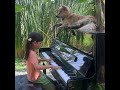 Emilie Plays "LA57" by Alessandra Celletti for Sharky the Dog