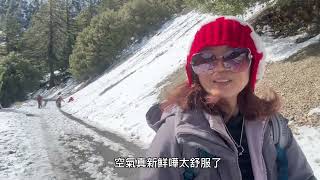 Mt. Baldy禿頭山 冬天的聖安東尼瀑布特迷人San Antonio Falls Trail /Barrett-Stoddard Trail