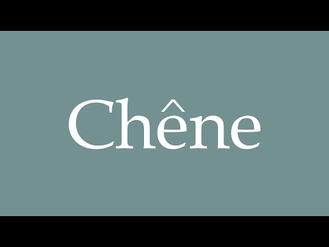 How to Pronounce ''Chêne'' Correctly in French