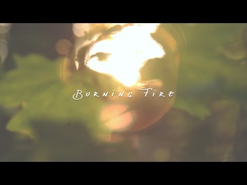 Burning Fire ft. Breanna Butterworth - Paradigm [Offical Lyric Video]