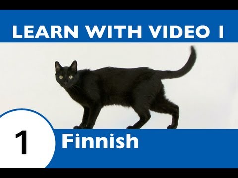Learn Finnish with Video - Learning Finnish Vocabulary for Common Animals Is a Walk in the Park!