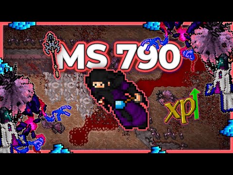 MS 790 Hunt x4 Furious Crater 11.5kk/h Raw(Colours Event) + 5.8kk Profit - Tibia Hunt [13.34] #tibia