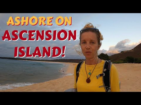 ⛵ ASCENSION ISLAND - PELAGIC AUSTRALIS FINAL VOYAGE PART 5 - S01E16
