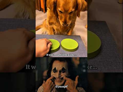 Sometimes We Choose Wrong 😢 | Dog Emotional Moment #algorithm #dog #shorts