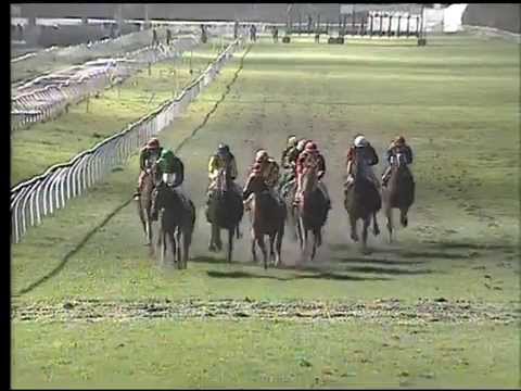 Galoppo 30/01/2015 - 5° corsa