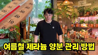 여름에도 제라늄에 비료는 줘야 합니다. 대신 아주 연하게. 제품 할인 코드(gardenjera) 설명에 안내…