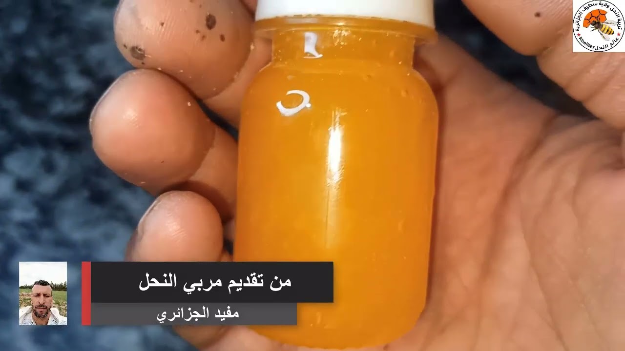 طريقة صنع جاذب طرود النحل #اصطياد_طرود_النحل