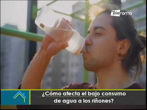 ¿Cómo afecta el bajo consumo de agua a los riñones?