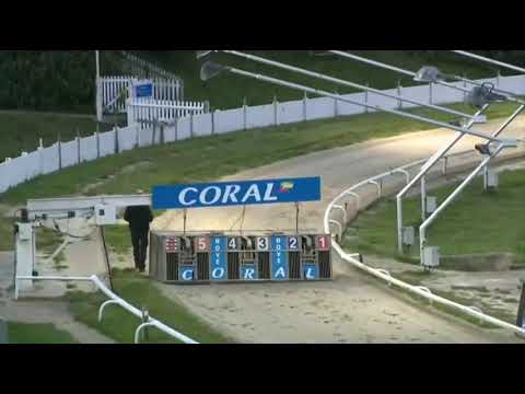 Bubbly Bollinger Wins In The Bockos Doomie Memorial Invitation Race In Trap 2 At Hove