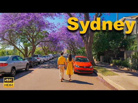 Sydney Australia Walking Tour - Jacaranda Season in Full Bloom | 4K HDR