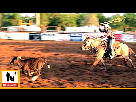 Tie-down Roping - 2023 Wellington Pro Rodeo | Thursday