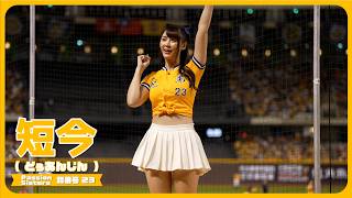 勝利卡農📣 短今（Sammie）Passion Sisters 中信兄弟啦啦隊  臺北大巨蛋 2024/9/22【台湾チアTV】