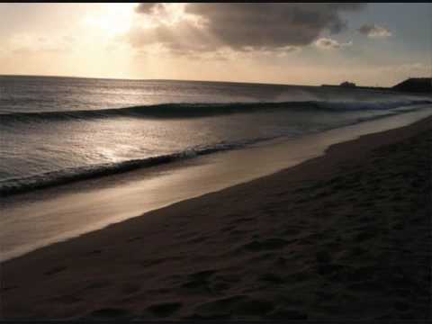 laera odissea mediterranea