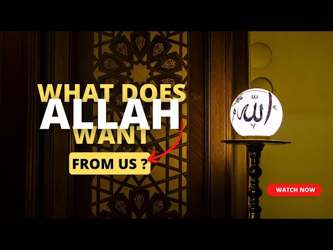 What does Allah want from us? | Towards Jannah | Islam | Come to path | #islam #allah