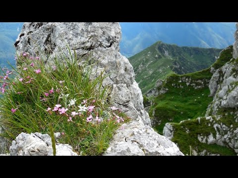 Anello della Baba Grande in Val Resia