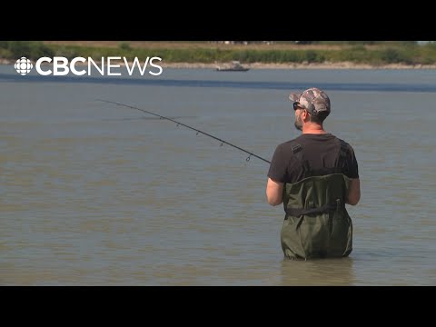 Fraser Valley anglers get rare chance to reel in sockeye amid bumper salmon run