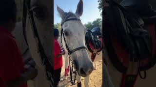 Living my childhood dream 🥺😍 #youtubeshorts