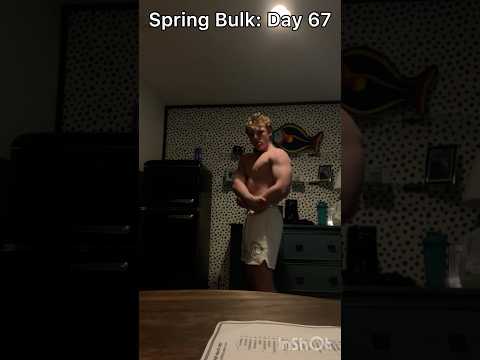 Spring Bulk: Day 67 #motivation #bulkqueries #dailyinspiration #dailymotivation #haveablessedday