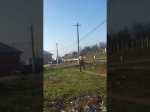 Florin Al gichi Crevedia Mare