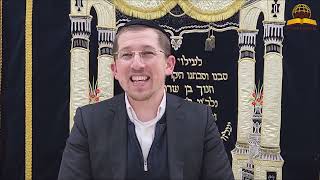 דיני המתנה בין בשר לחלב - כמה זמן ילדים צריכים להמתין בין בשר למטרנה חלבית? הרב יוסף שכטר