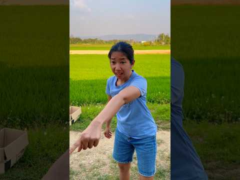 แมวโพงกินมอลลี่ไปแล้ว พีคตอนจบ#ฝากกดติดตาม #funny #ละครสั้น #ตลก #เพื่อความบันเทิง