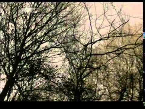 Real Crime - Roy Tutil