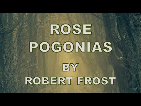 Video thumbnail for Rose Pogonias
