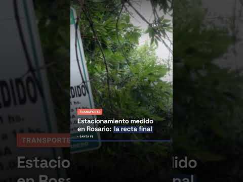 Estacionamiento medido en Rosario: la recta final