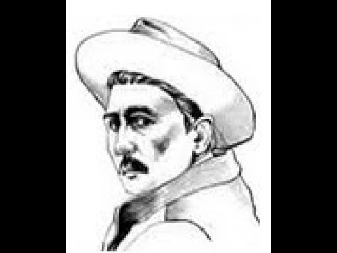 Radoje Domanović - Razmišljanje jednog običnog srpskog vola